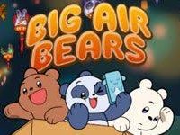 We Baby Bears: Big Air Bears